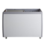 EFI 50" Novelty Ice Cream Freezer
