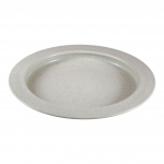 BIOS Professional® 9" Inner Lip Plate Sandstone