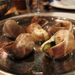 Snail Plates & Dishes
